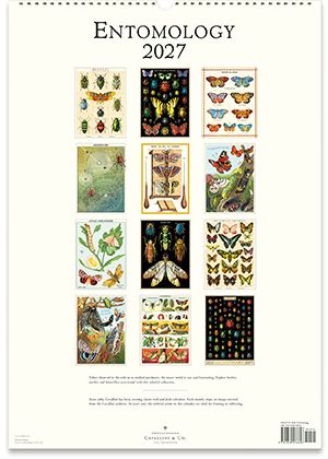 2027 Entomology Wall Calendar