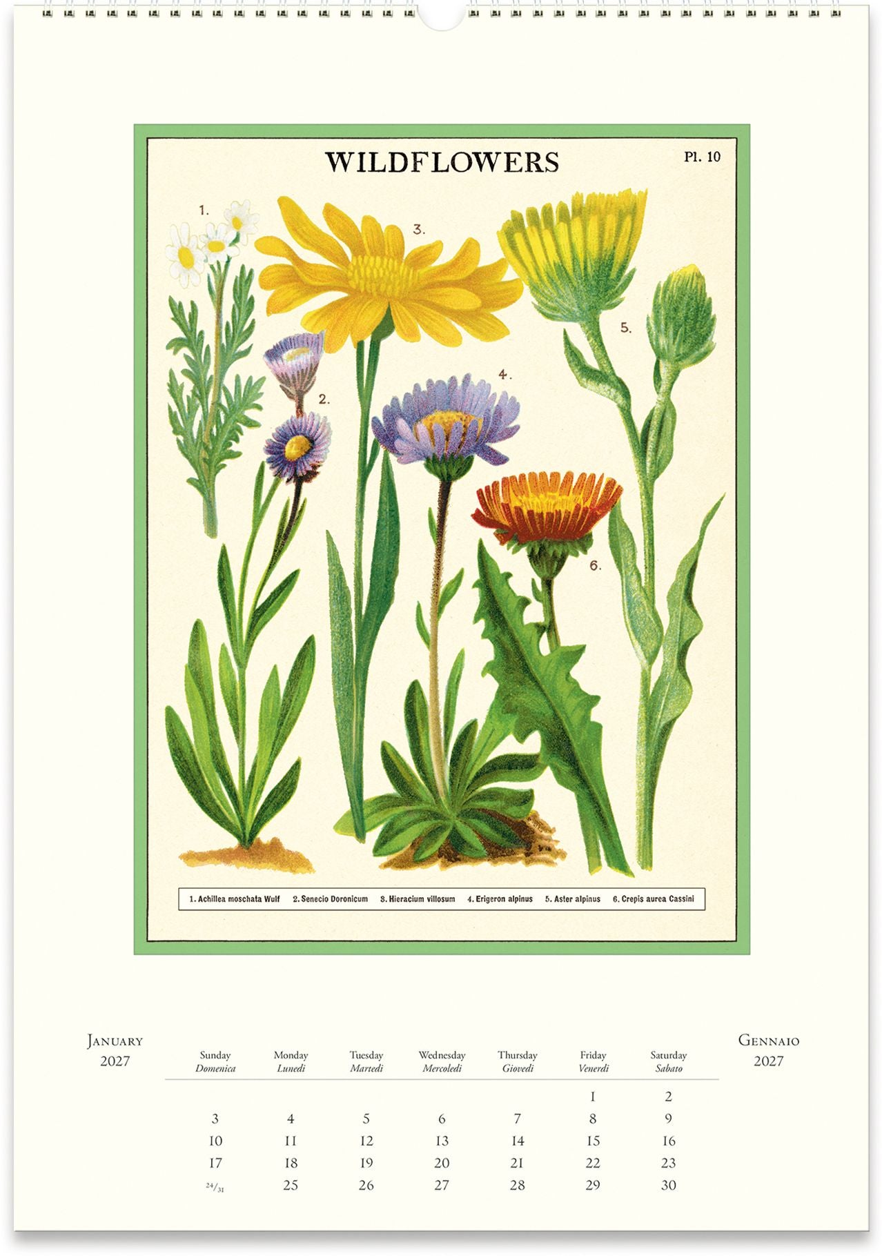 2027 Wildflowers Wall Calendar
