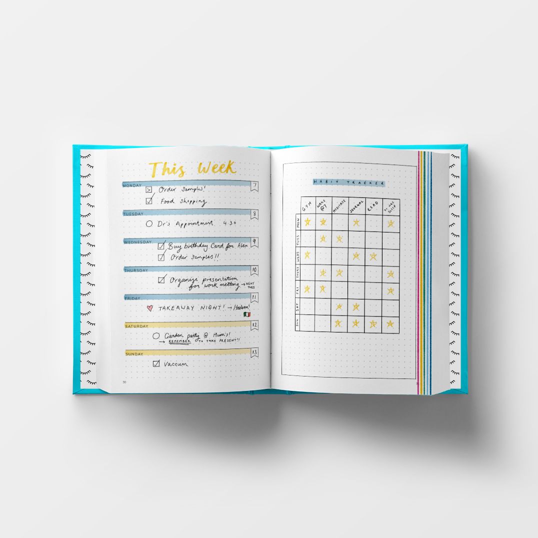 Positive Bullet Diary