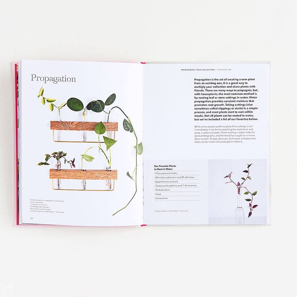 How to Raise a Plant: and Make It Love You Back