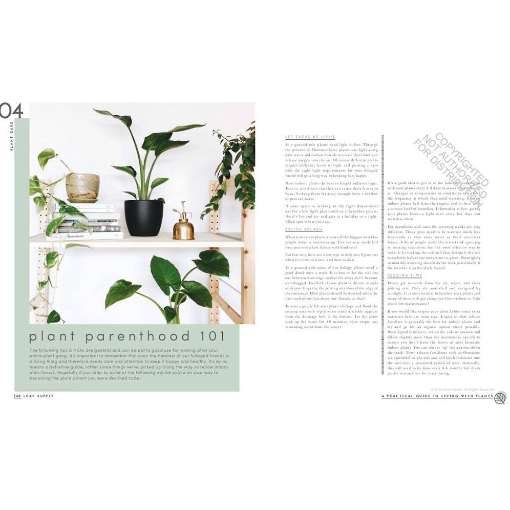 Leaf Supply: A Guide to Keeping Happy House Plants