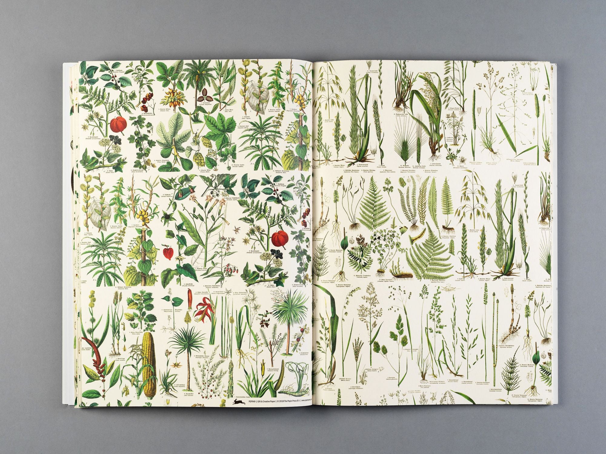 Flora Gift & Creative Paper Book