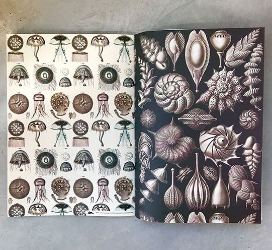 Marine - Gift & Creative Paper Book