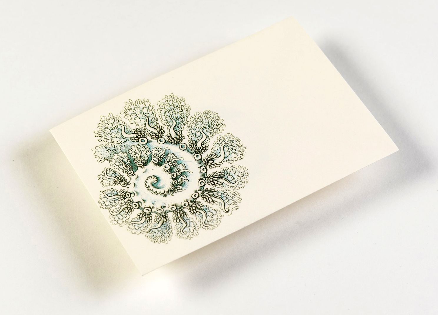 Art Forms in Nature Letter Writing Set