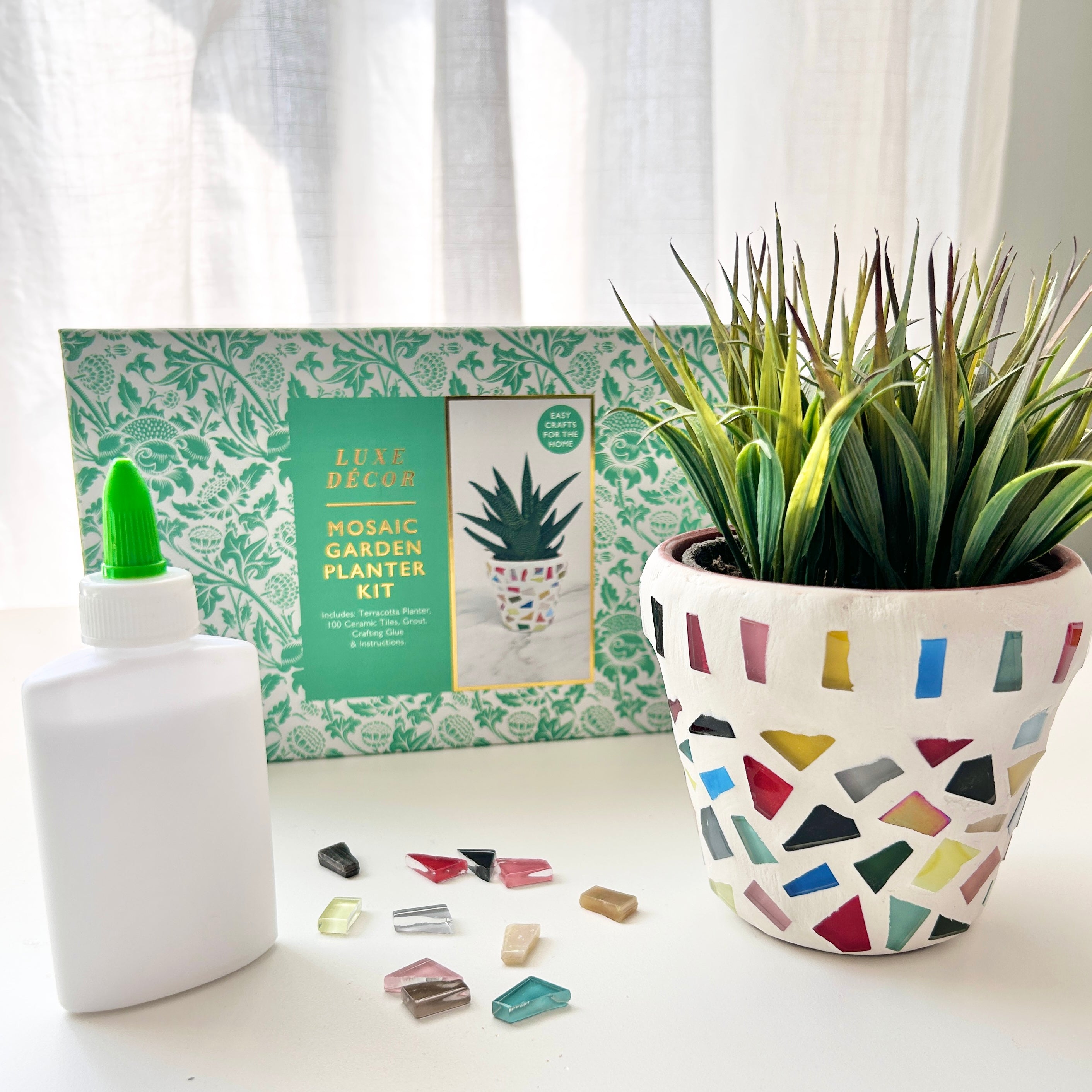 May Kit of the Month: Mosaic Planter Kit