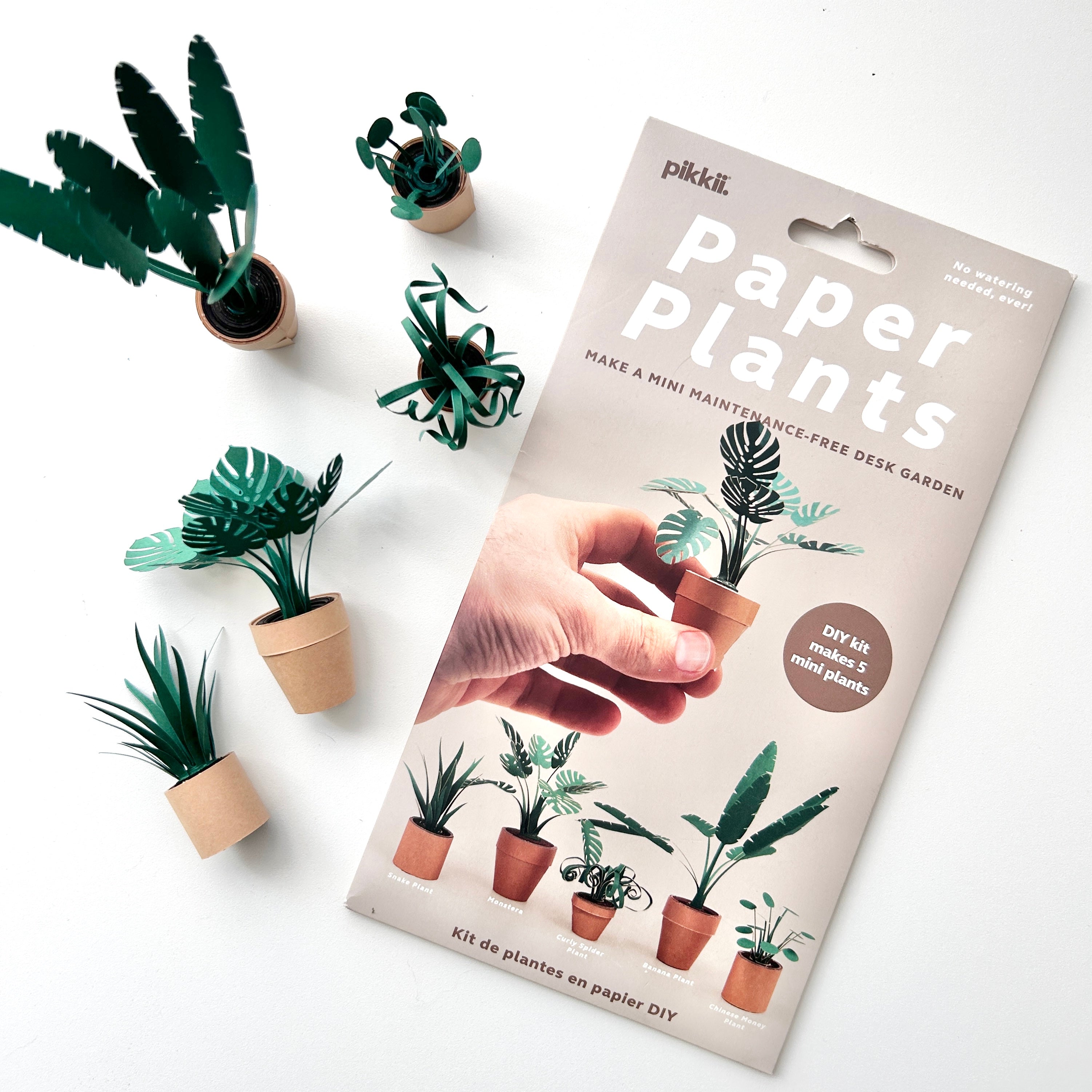 March Kit of the Month: Paper Plants Kit