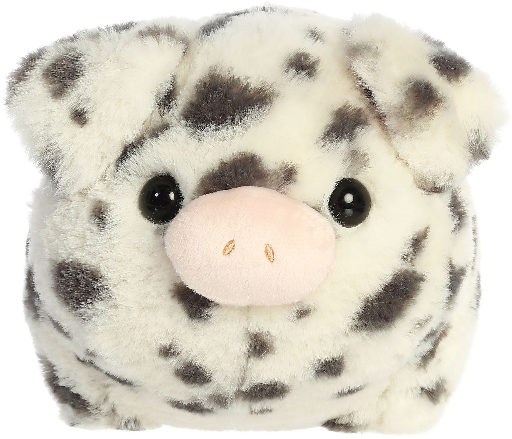 10" PIERRE SPOTTED PIG