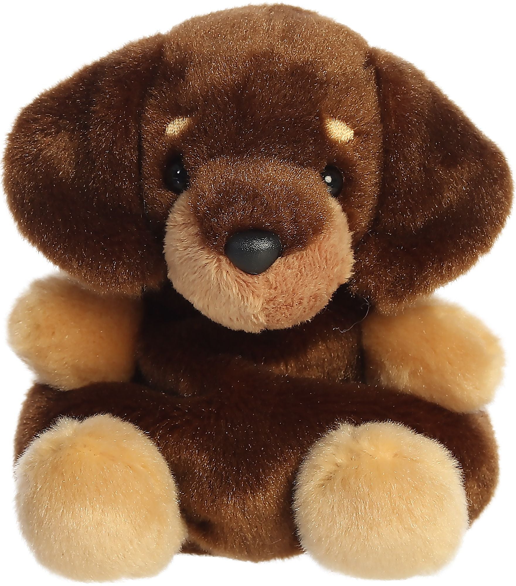 Houdini Dachshund 5" Palm Pals