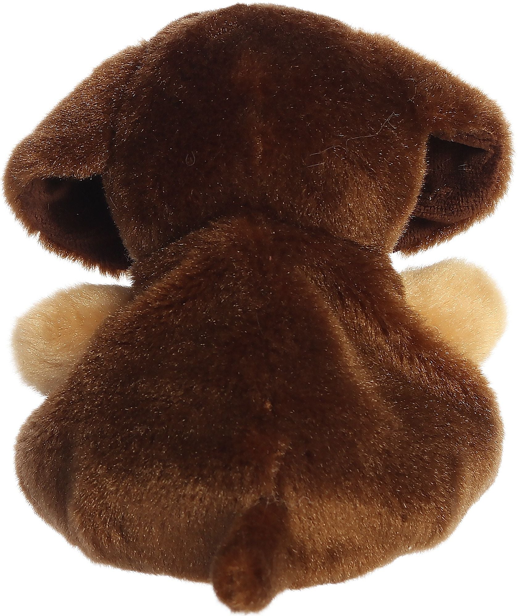 Houdini Dachshund 5" Palm Pals