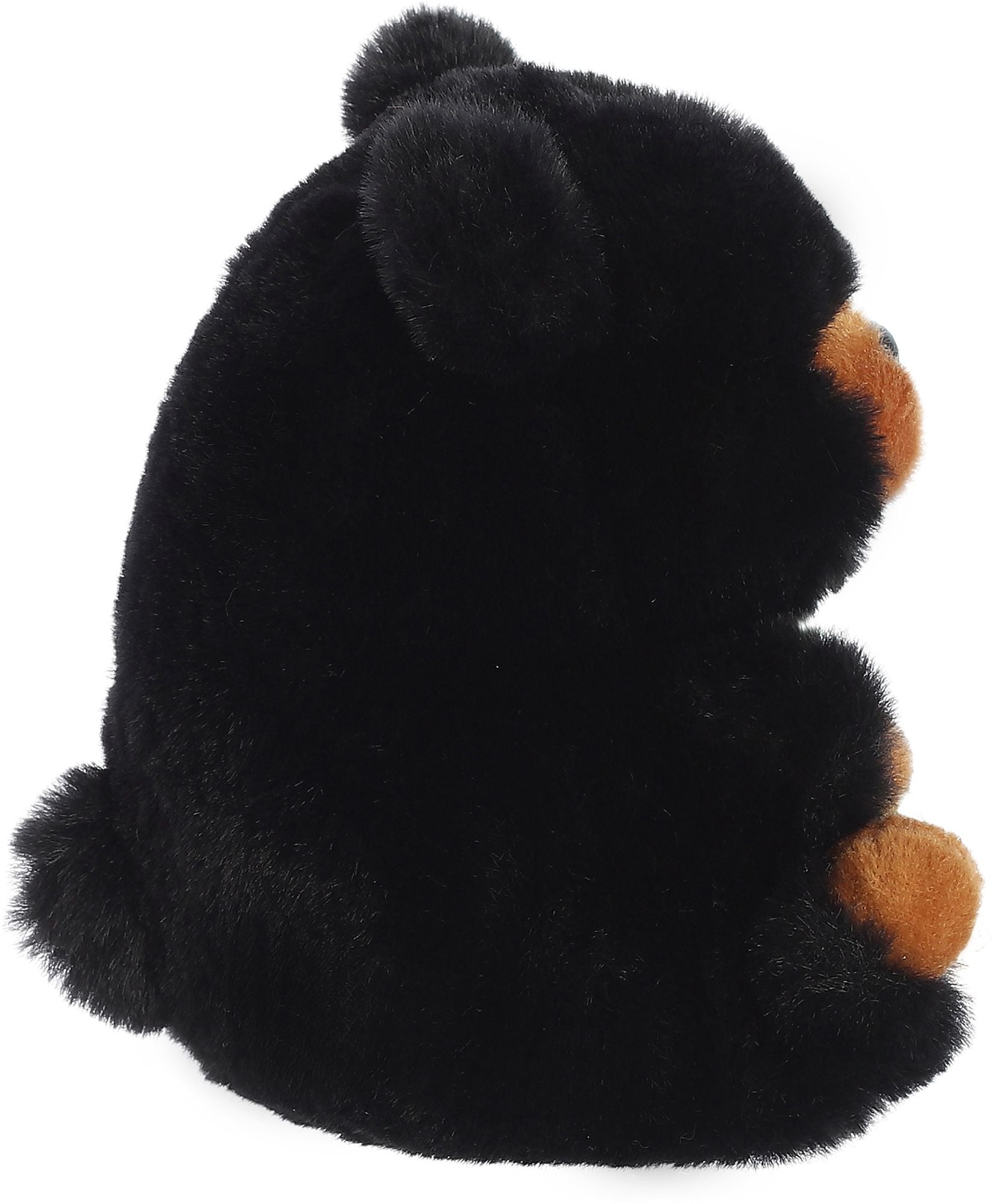 Blizzard Black Bear Plush