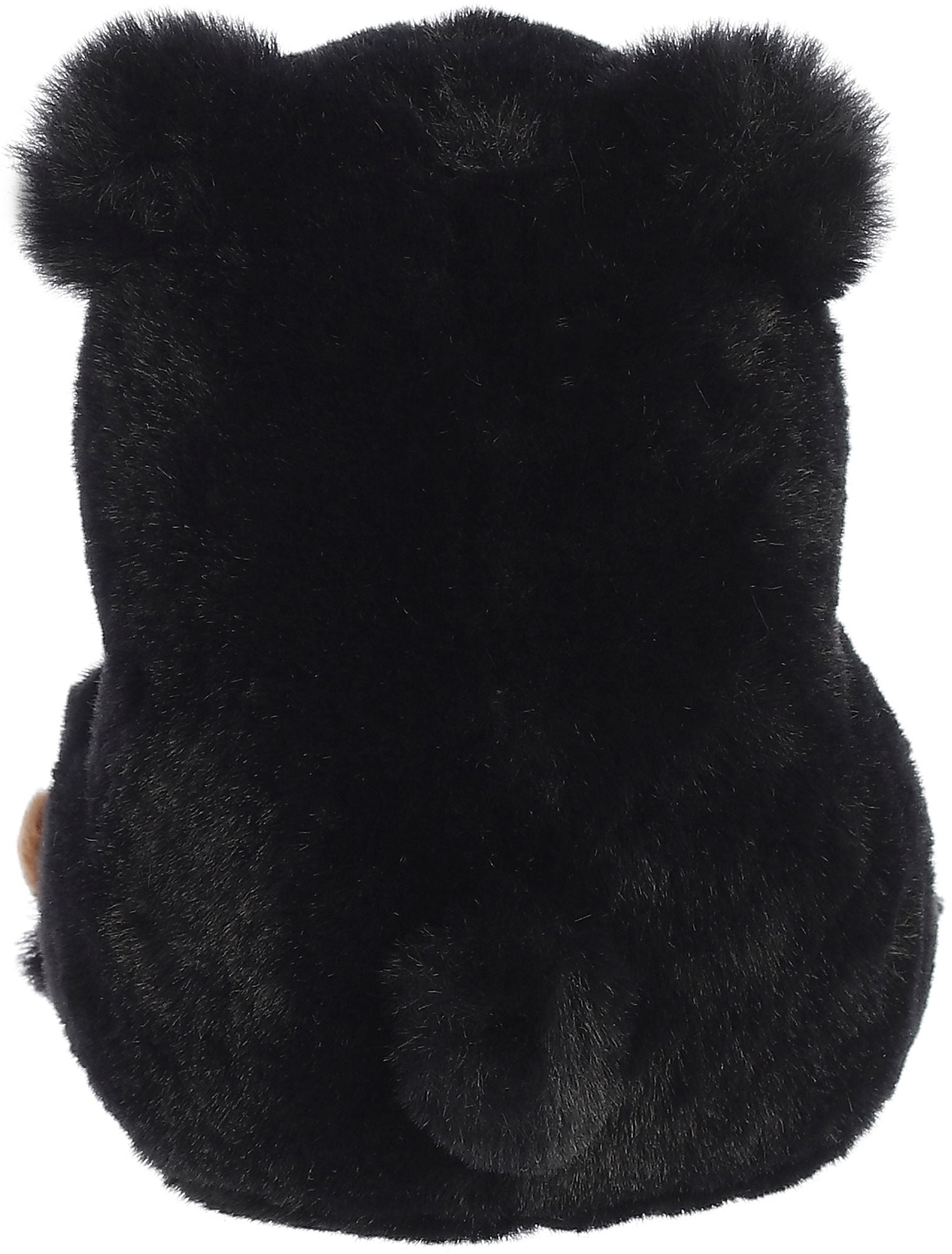 Blizzard Black Bear Plush