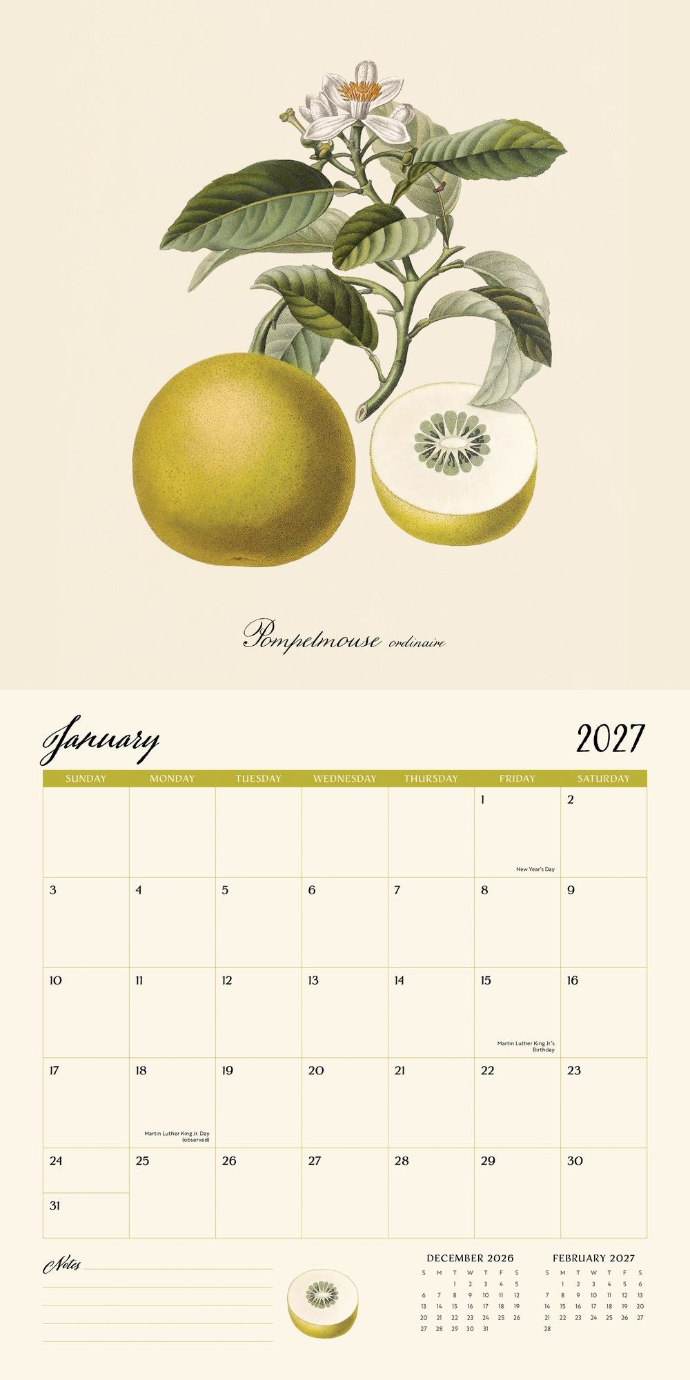 2027 Wall Calendar - Dybdhal Co. Fruits