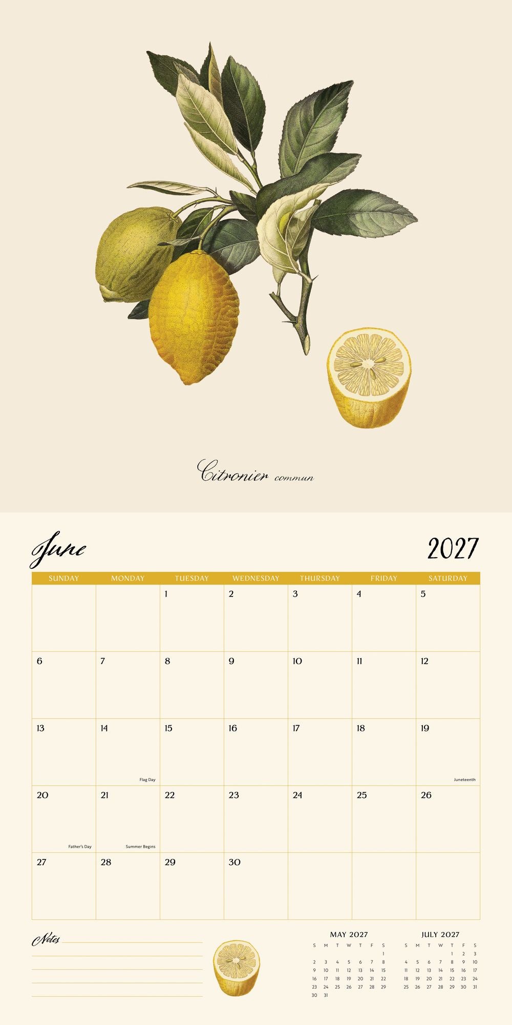 2027 Wall Calendar - Dybdhal Co. Fruits