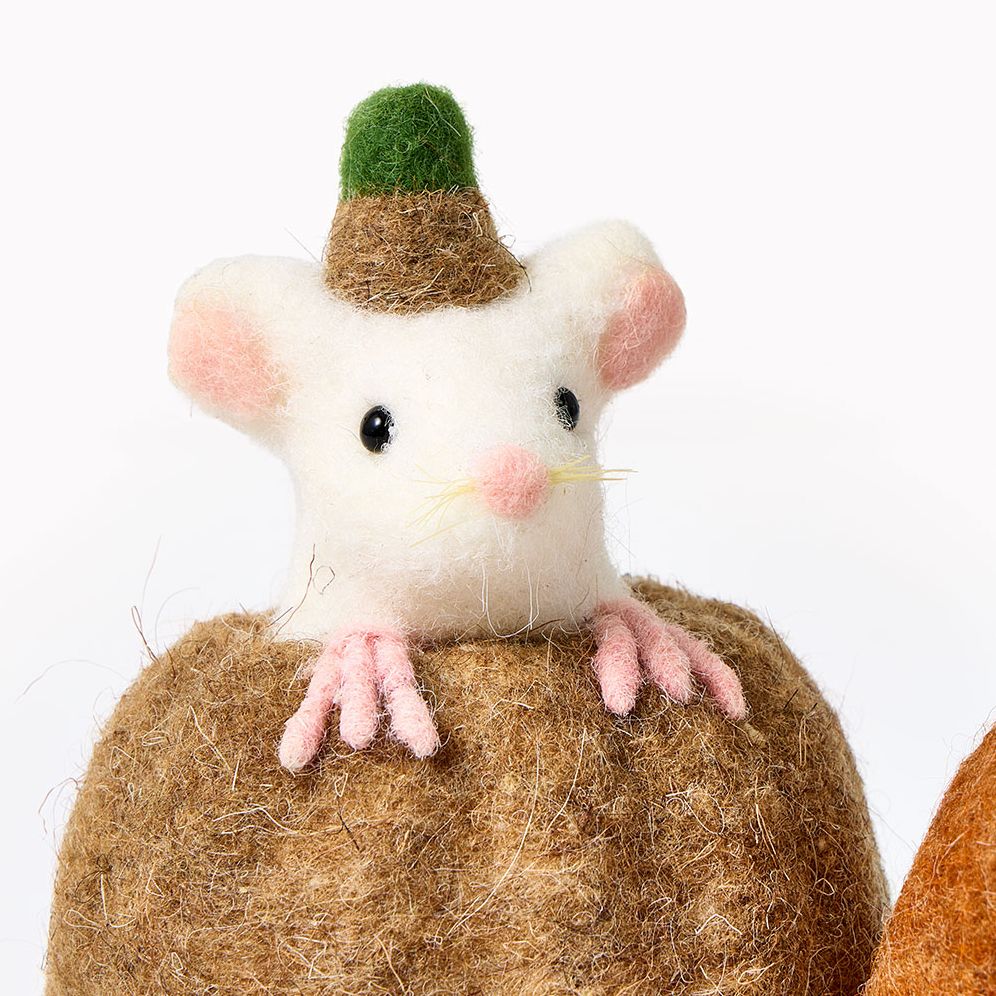 Wool Pumpkin with Mouse, 2 Assorted