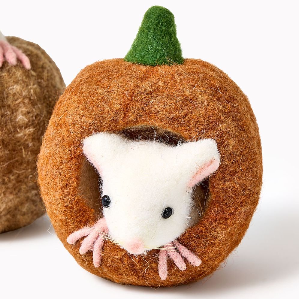 Wool Pumpkin with Mouse, 2 Assorted