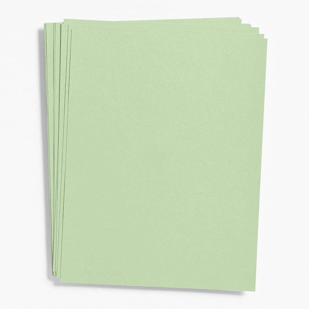 Eucalyptus Paper 8.5" x 11"
