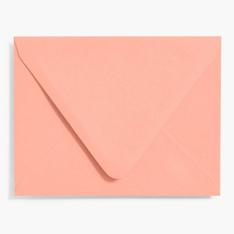 Paper & Craft | Paper Source