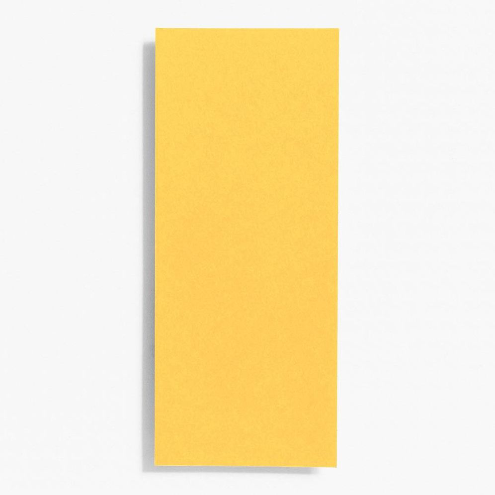 #10 Curry Note Cards