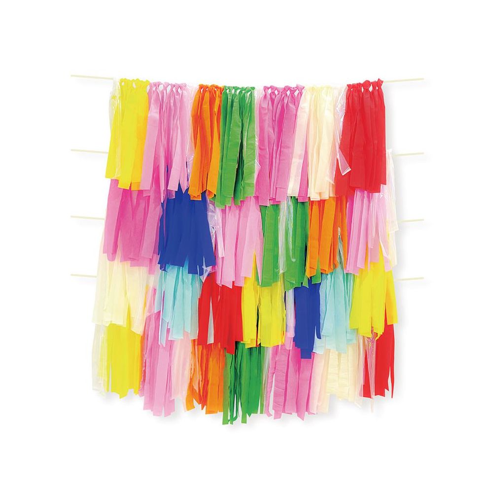 Fringe Colorful Backdrop