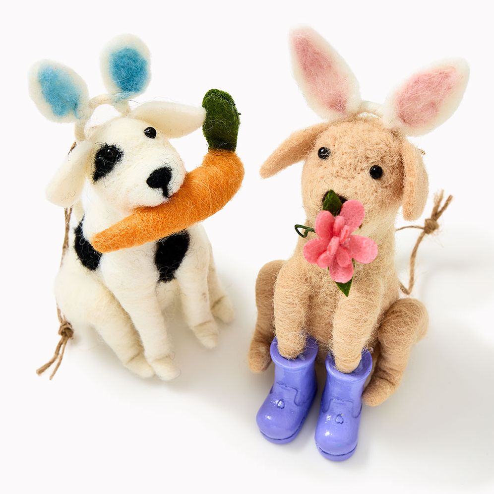 Springtime Critters Felt Spring Critters, 2 Assorted Styles | Paper Source