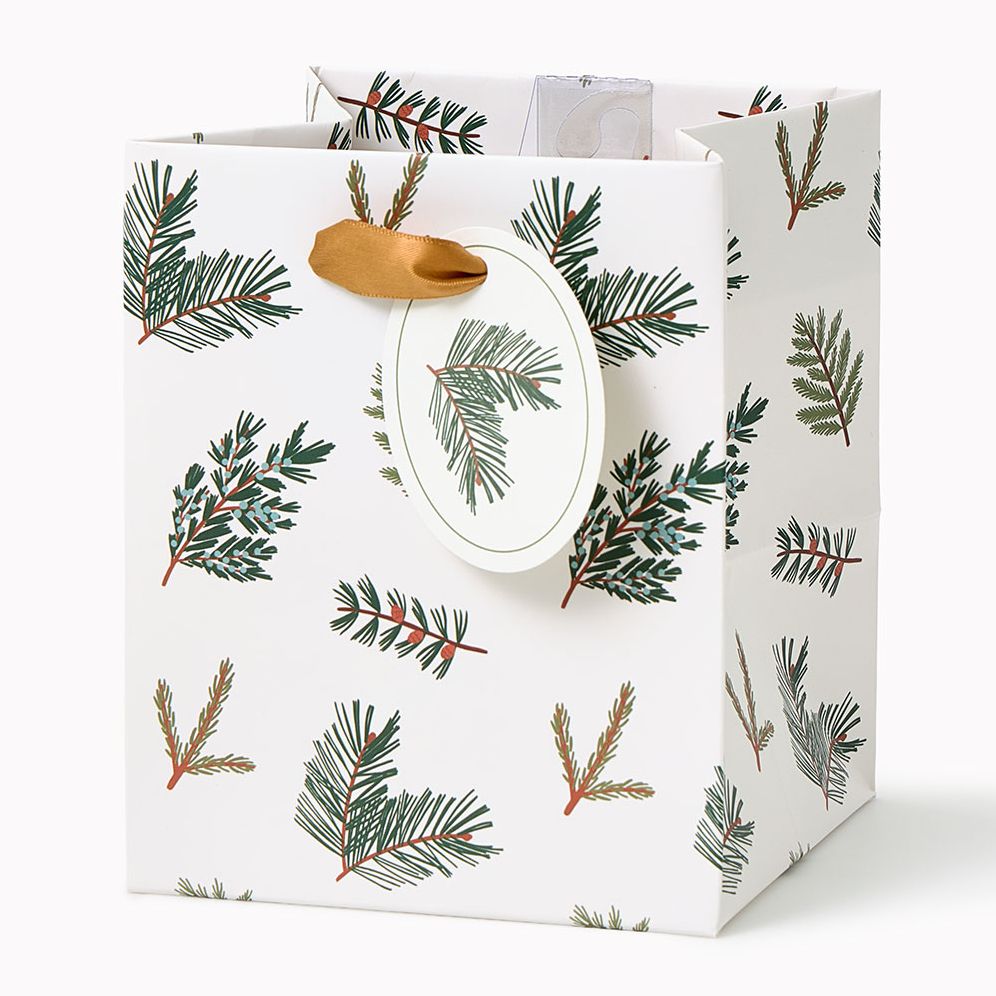 Evergreen Branches Small Square Gift Bag