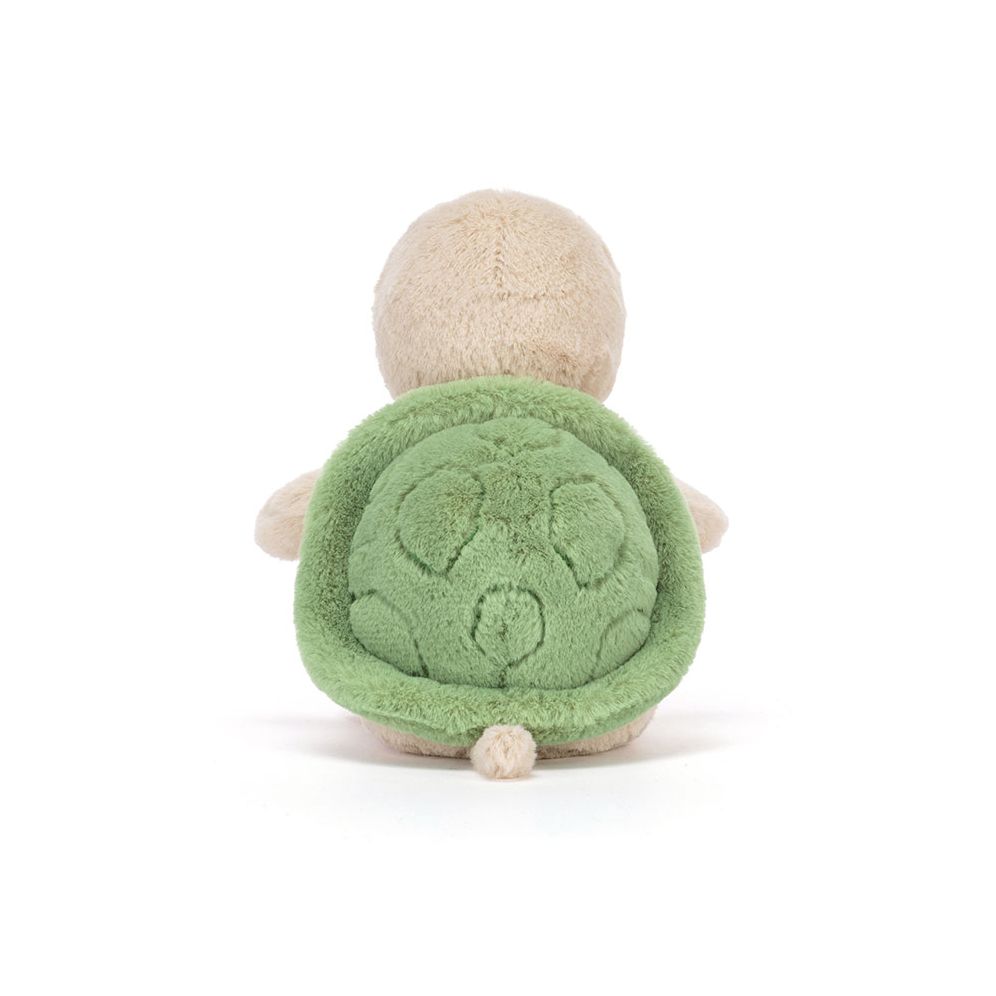 Thimble Turtle | Paper Source