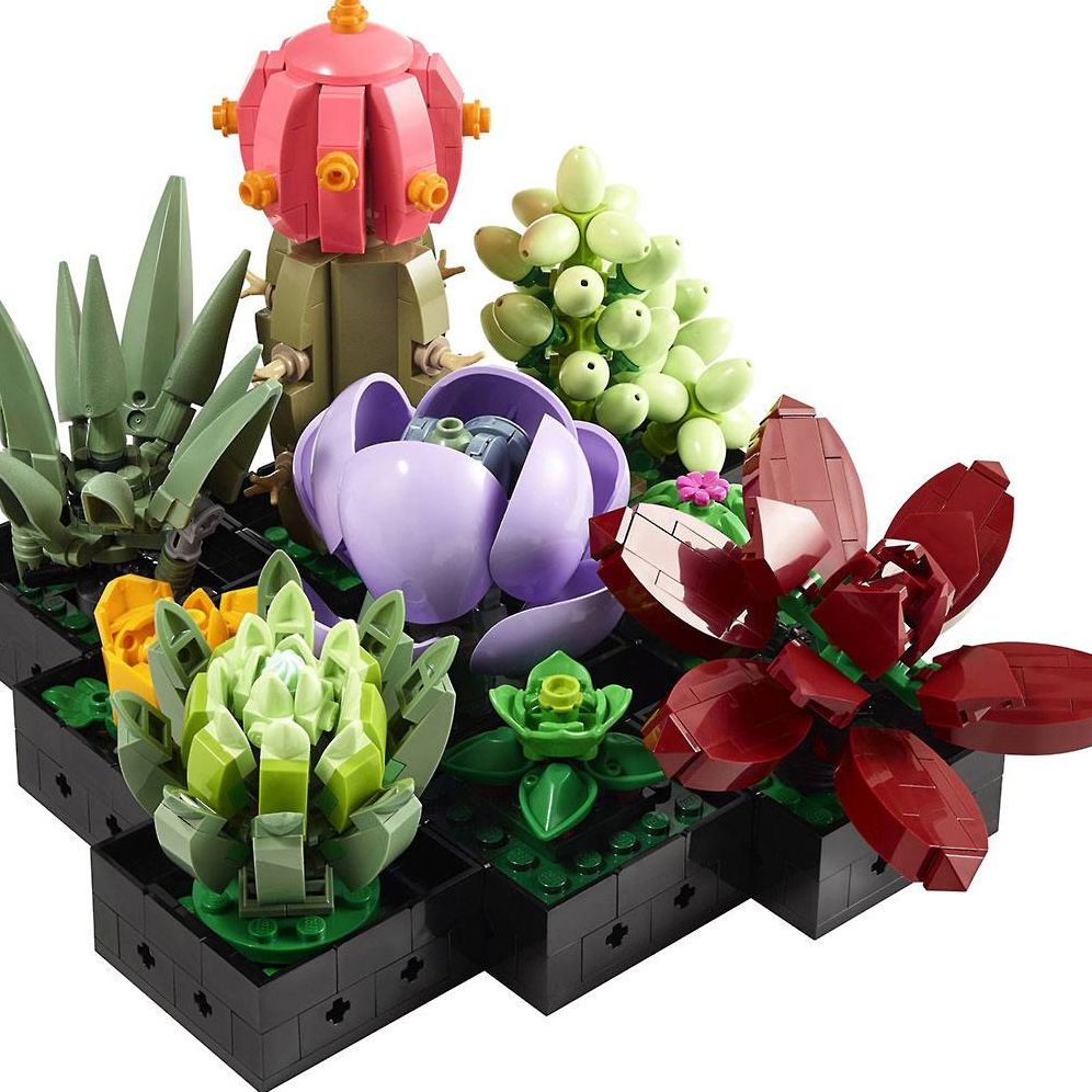 哥釉花生 LEGO Icons Succulents 10309 | Paper Source