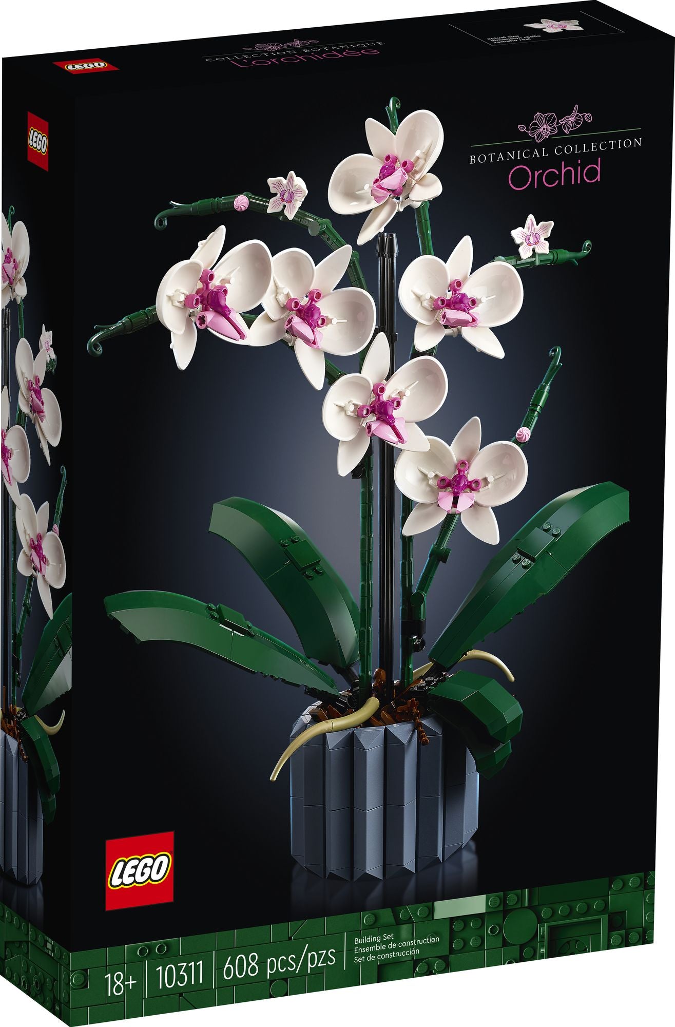 LEGO Icons Orchid 10311 | Paper Source