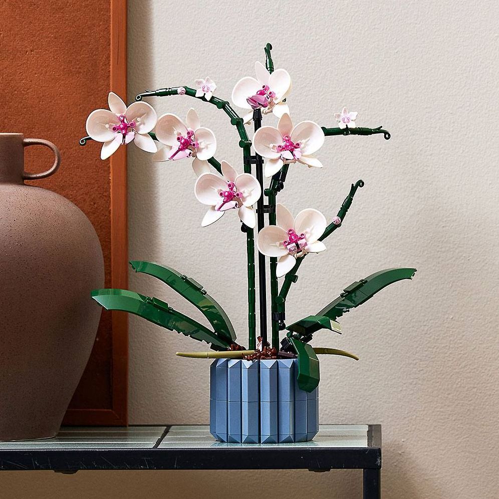 ボリス LEGO Botanical Collection 10311 Orchid - beauty comes in many