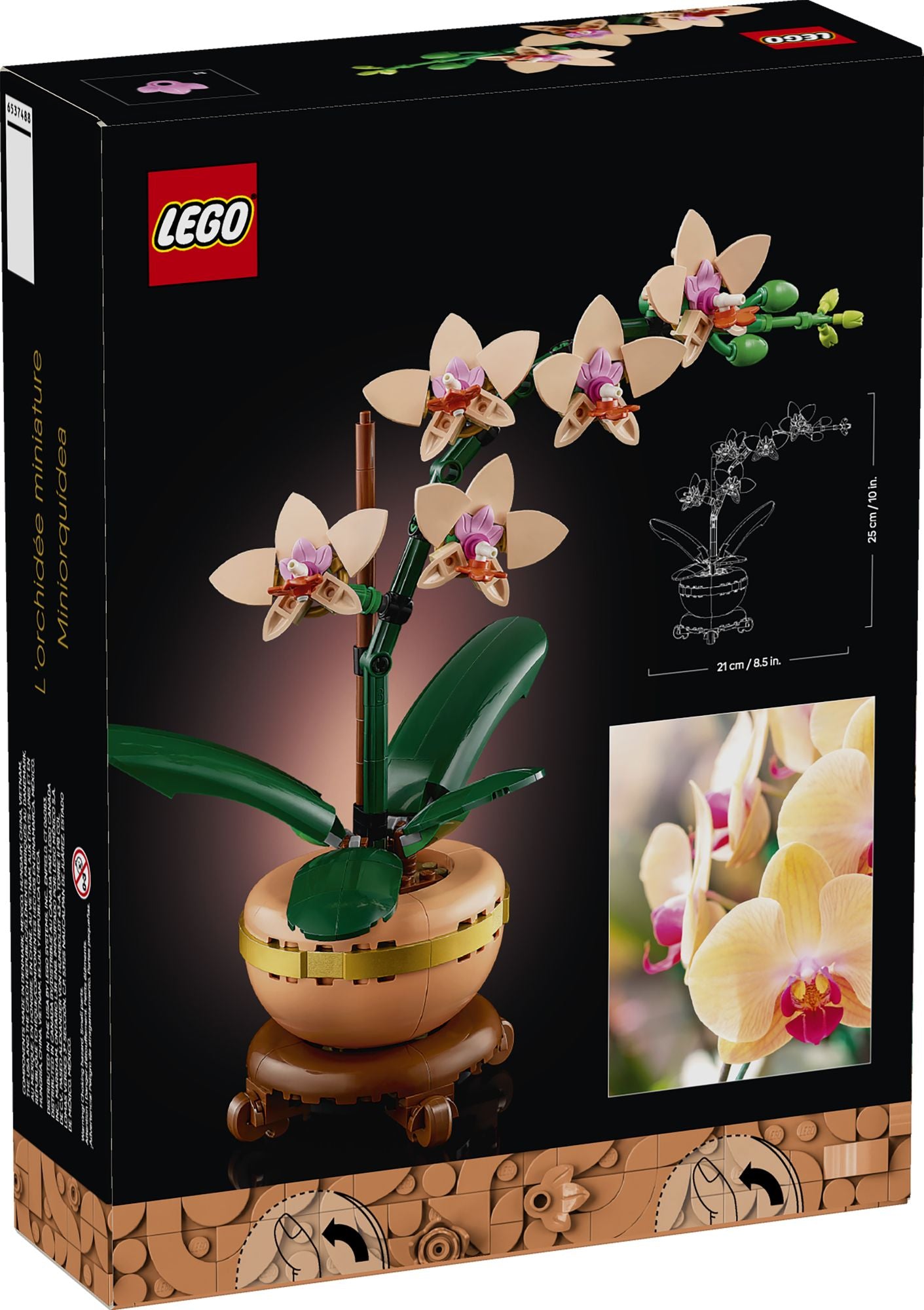 co&pu出品 LEGO Botanicals Mini Orchid 10343 | Paper Source