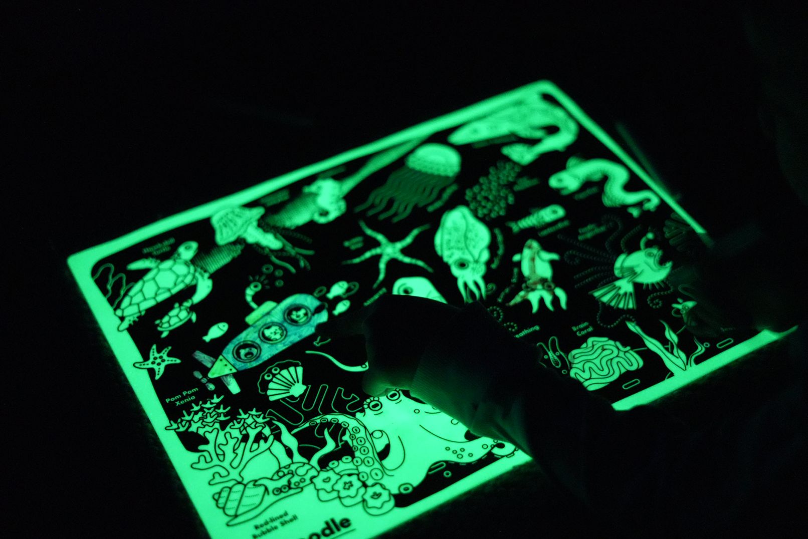Glow-in-the-Deep Reusable Silicone Coloring Placemat by HeyDoodle
