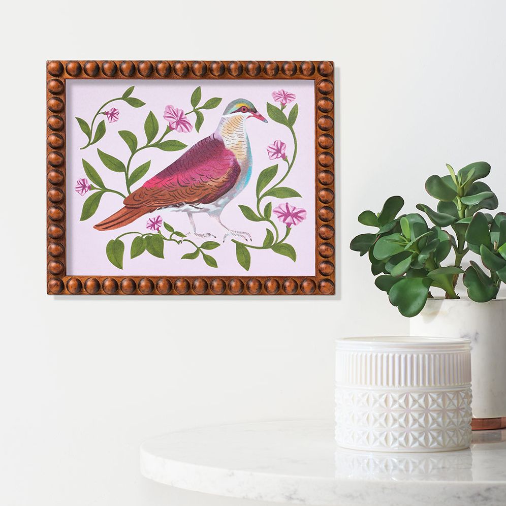 Dove 8x10 Art Print