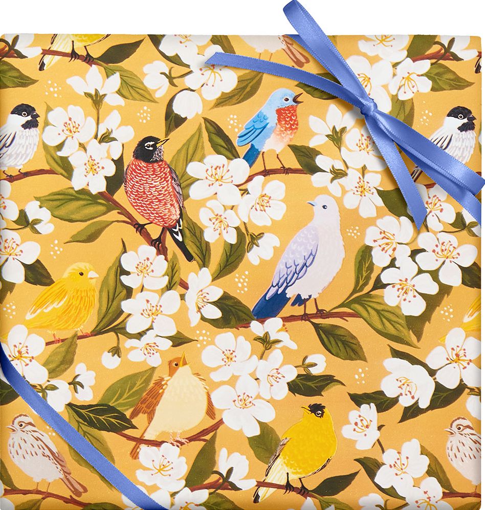 Songbirds & Blossoms Wrapping Paper