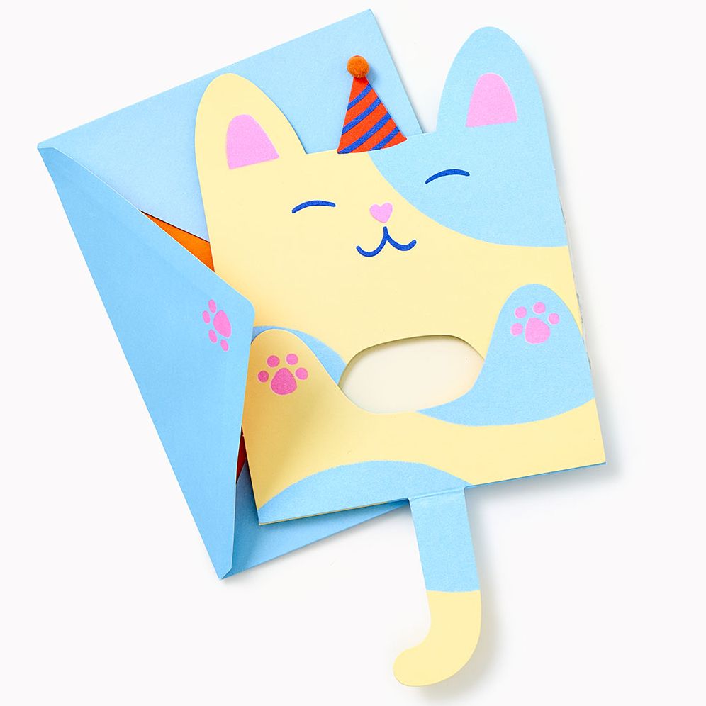 Folding Cat With Party Hat Embellished Birthday Card