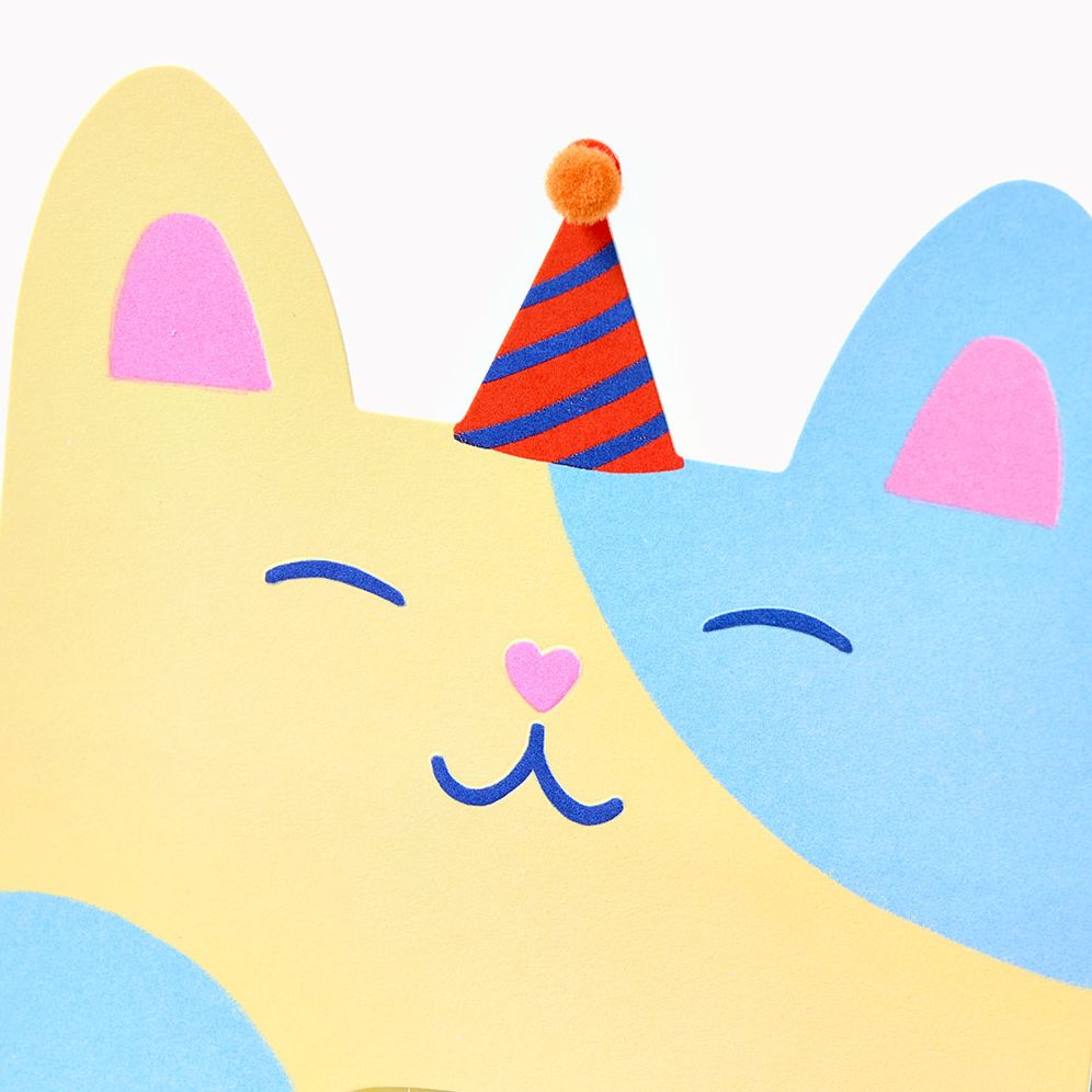 Folding Cat With Party Hat Embellished Birthday Card