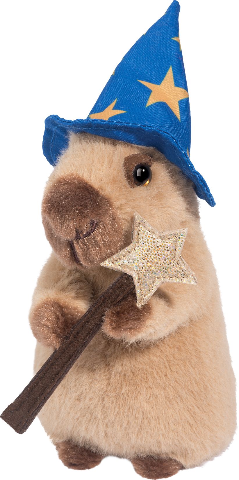 Wizard Capybara