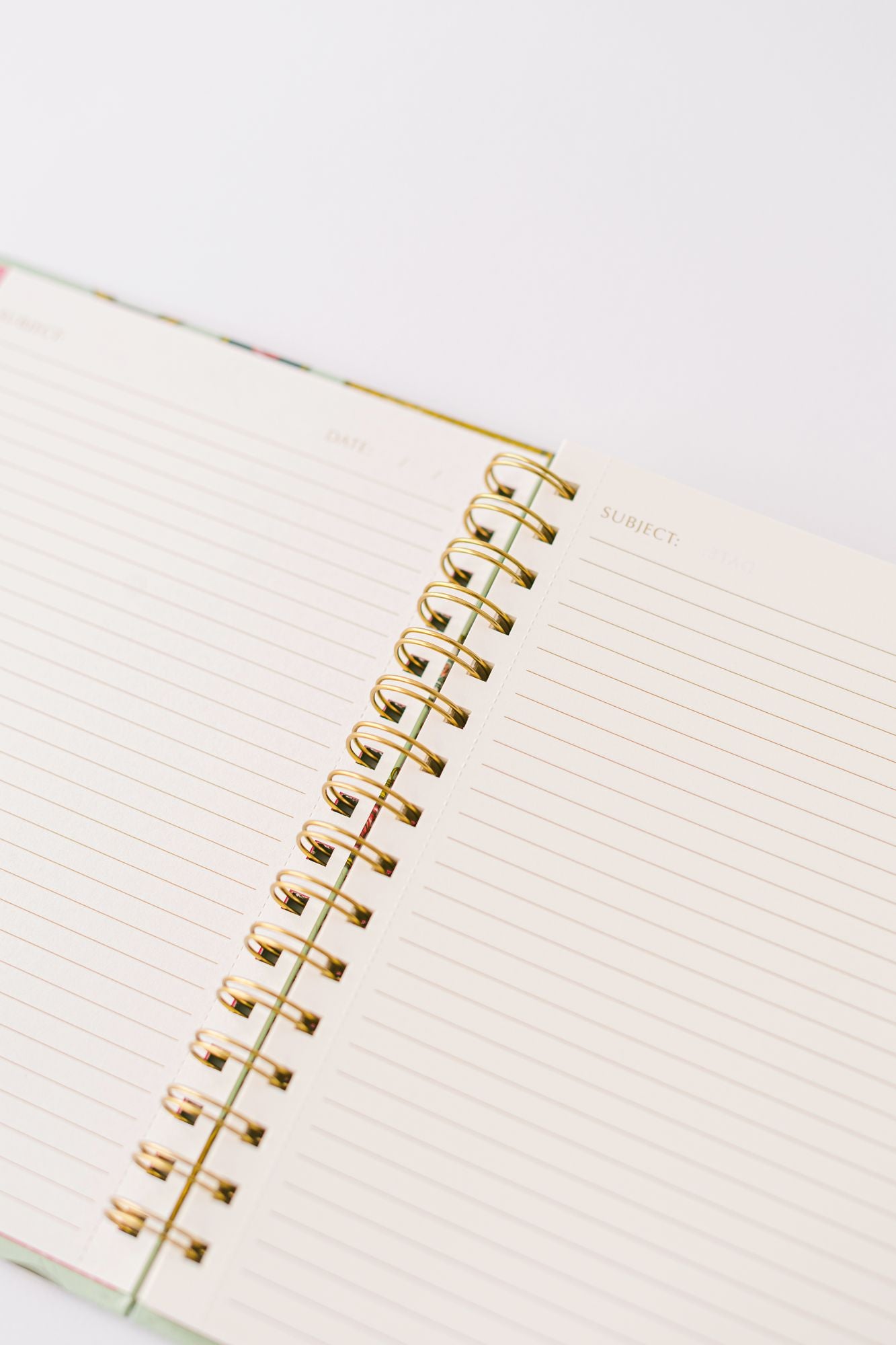 Mouse Cameo Spiral Notebook