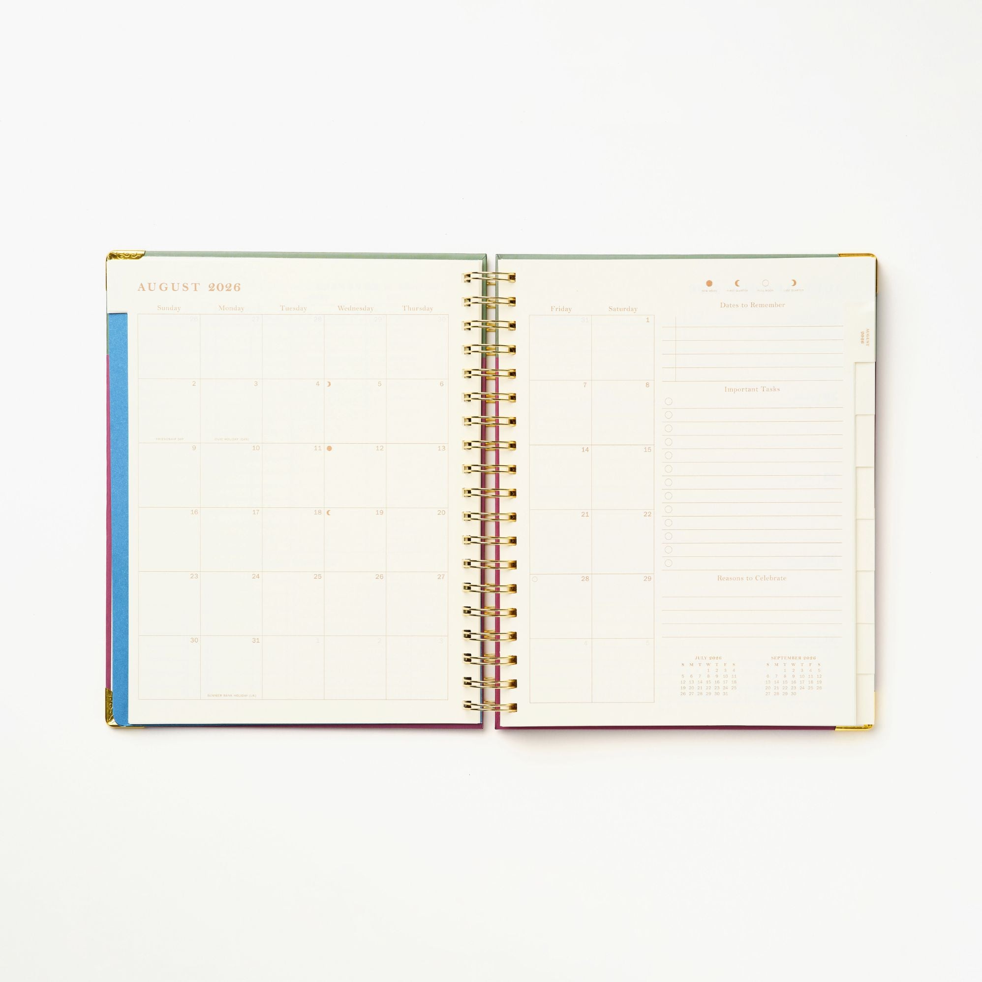 2026-2027 Sneaky Cat Bookshelf 17-Month Large Spiral Planner