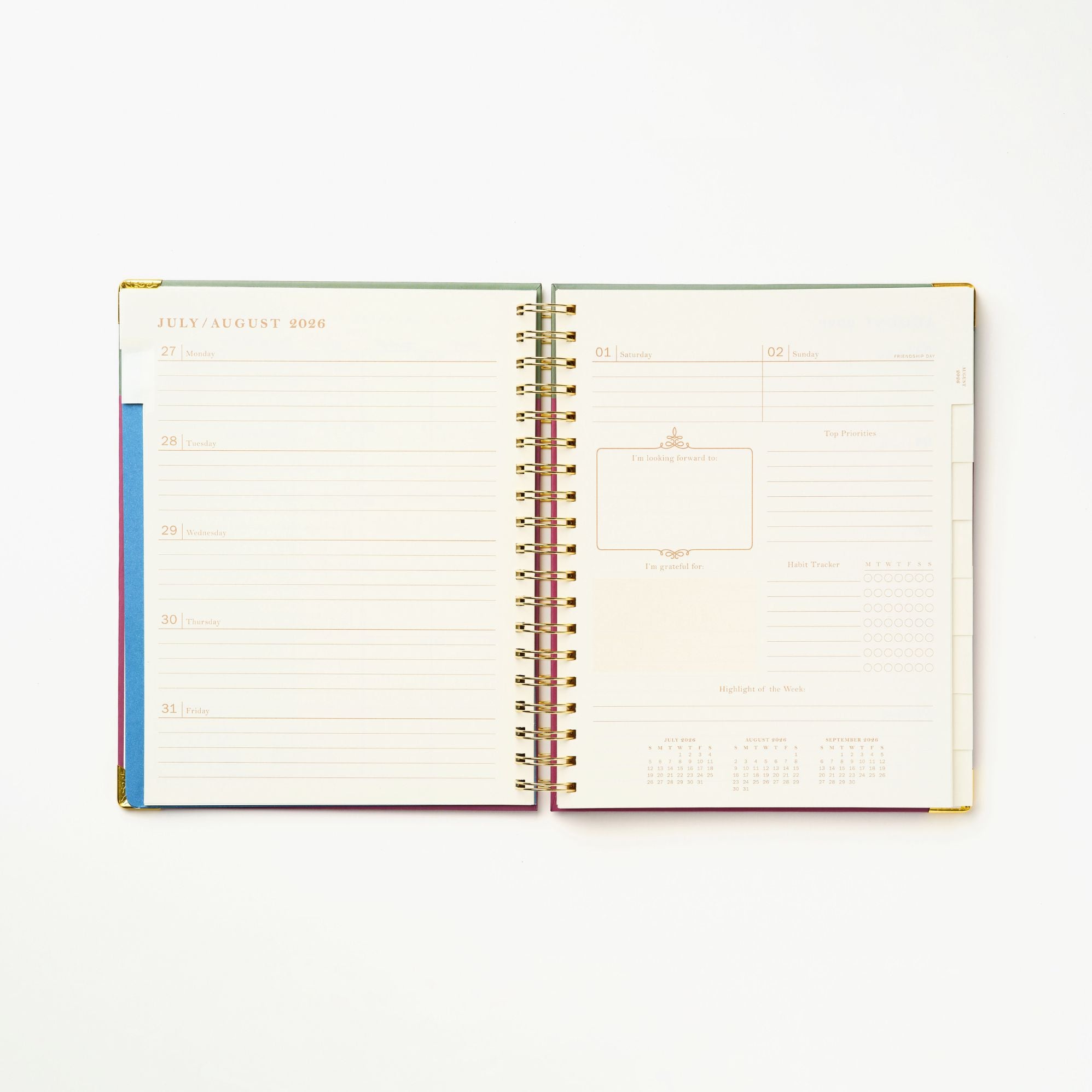 2026-2027 Sneaky Cat Bookshelf 17-Month Large Spiral Planner