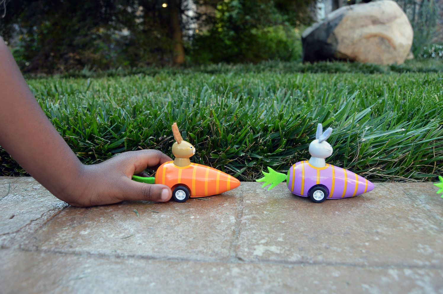 Bunny in Carrot Pullback Toy