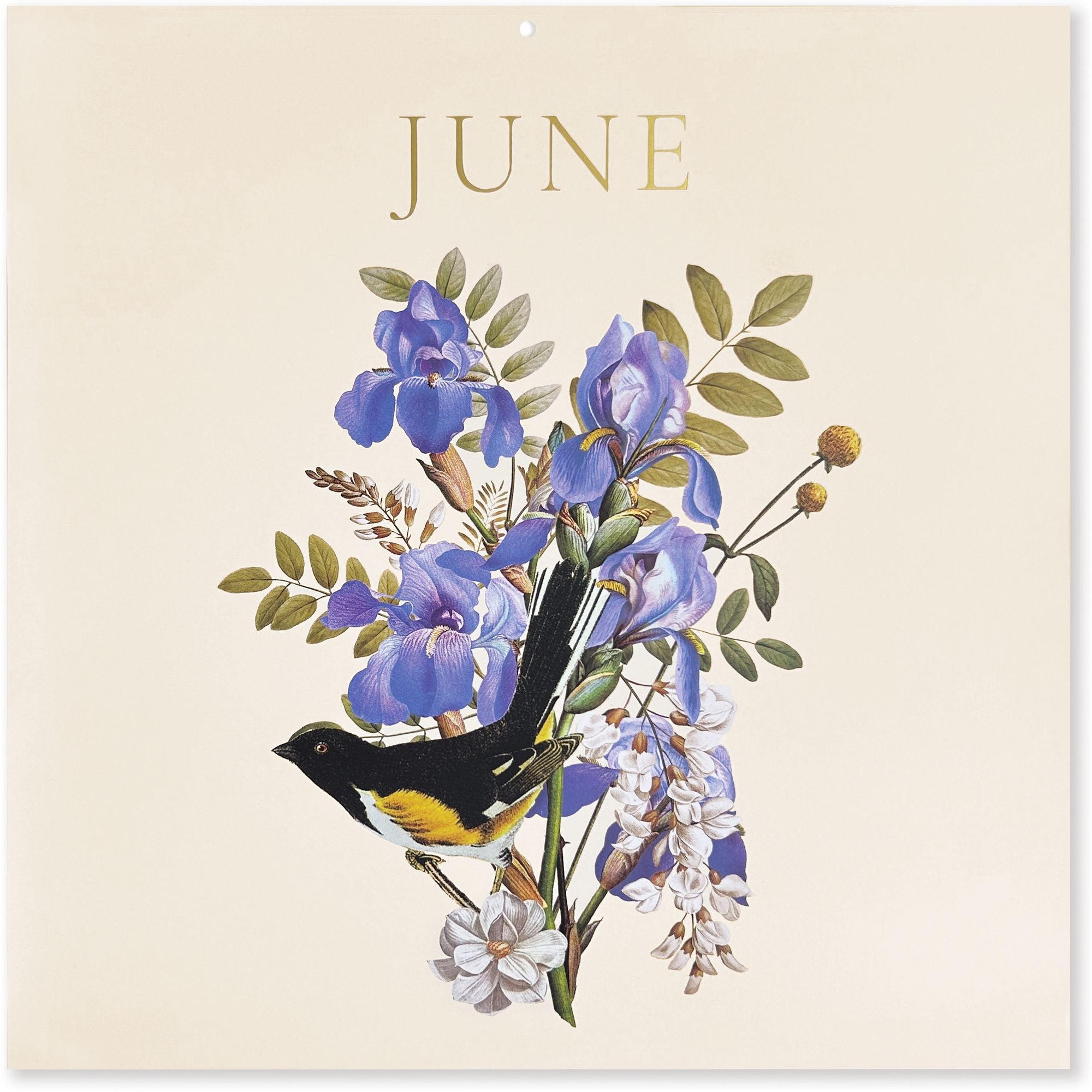 2027 Birds & Blooms Wall Calendar - Exclusive