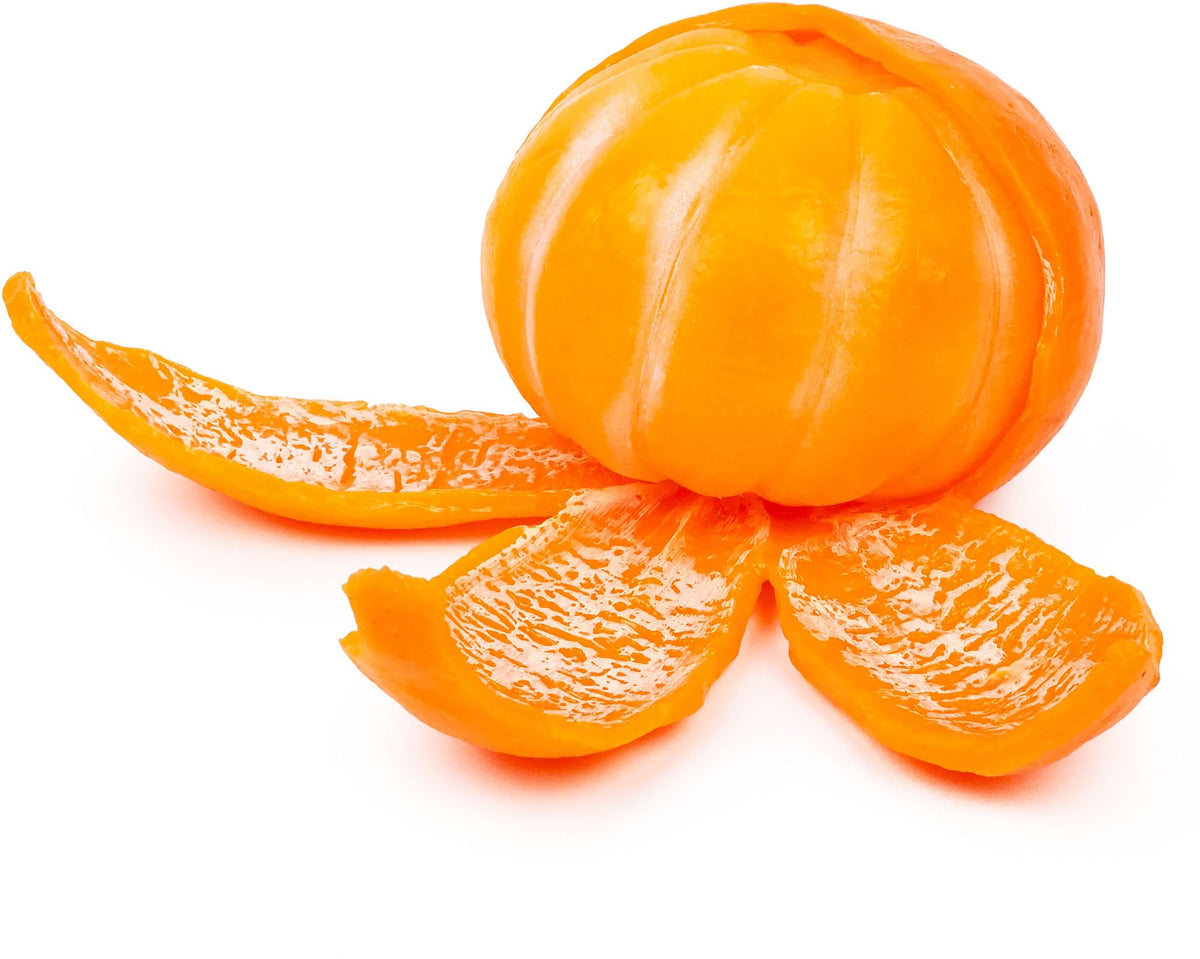 Tangerine Cutie Peeling Fidget Sensory Toy PDQ
