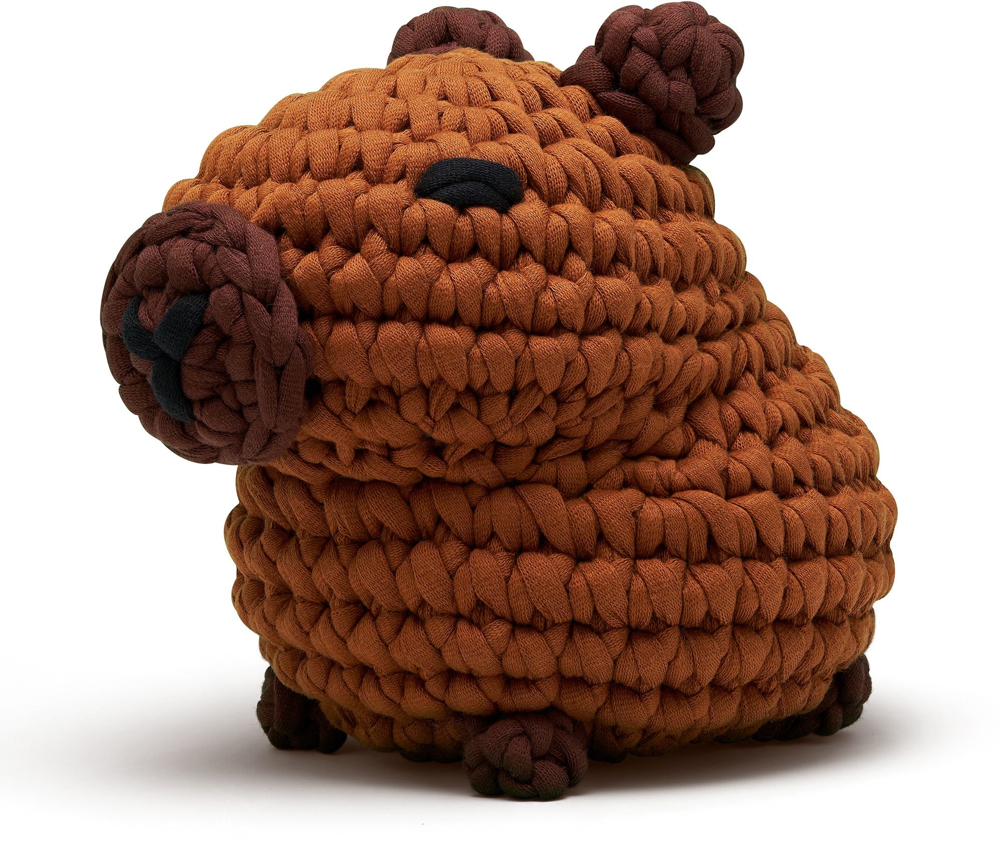 Hugh the Capybara Extra Squeezy Learn to Crochet Kit