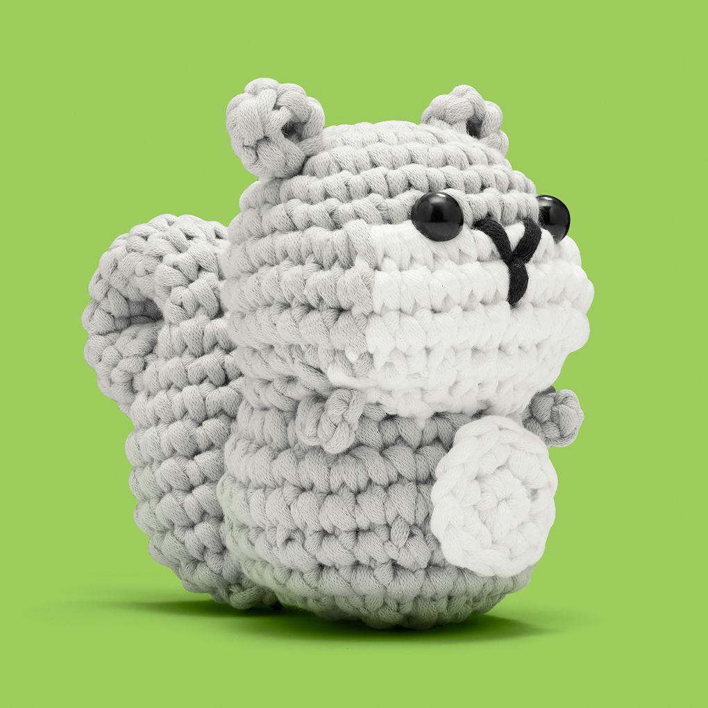 Ace the Squirrel Learn to Crochet Kit