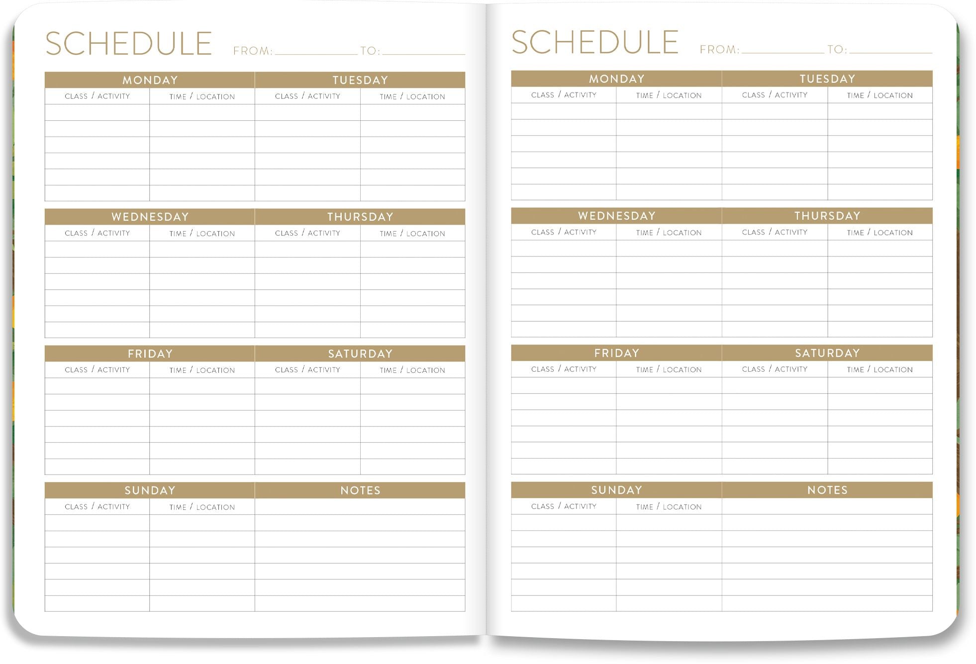 2026-2027 On the Bright Side Mediterranean Cats 17 Month Softcover Monthly Planner