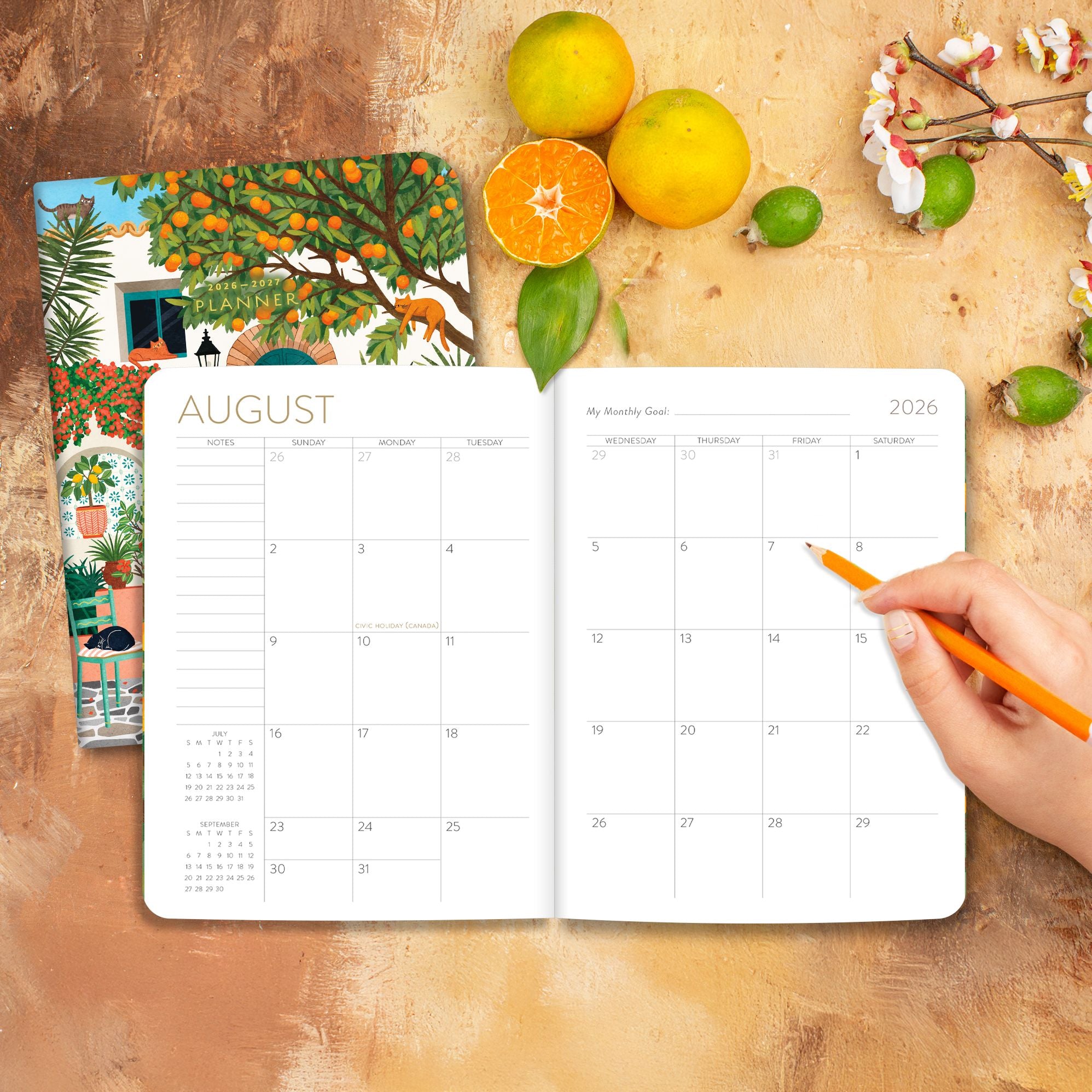 2026-2027 On the Bright Side Mediterranean Cats 17 Month Softcover Monthly Planner