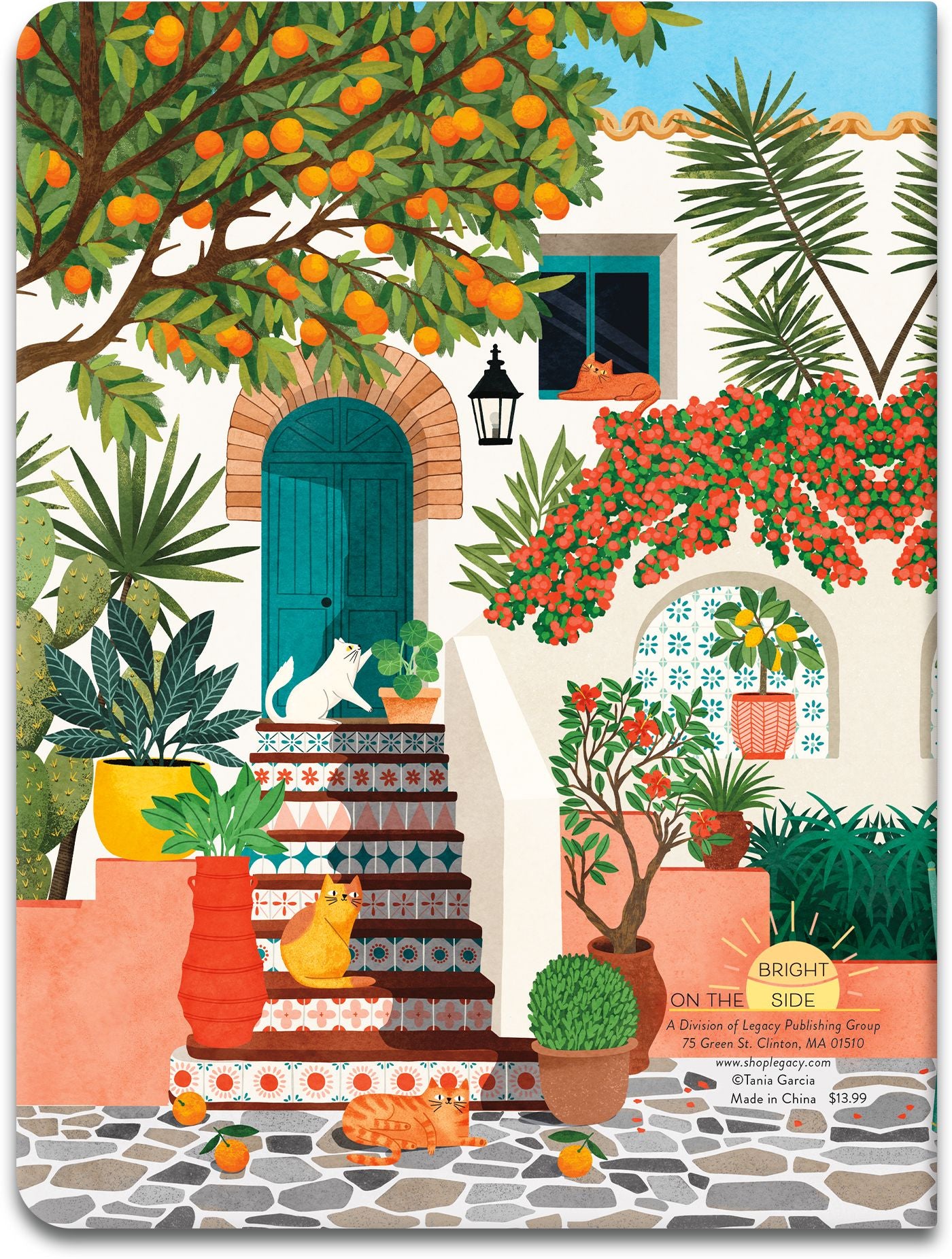 2026-2027 On the Bright Side Mediterranean Cats 17 Month Softcover Monthly Planner
