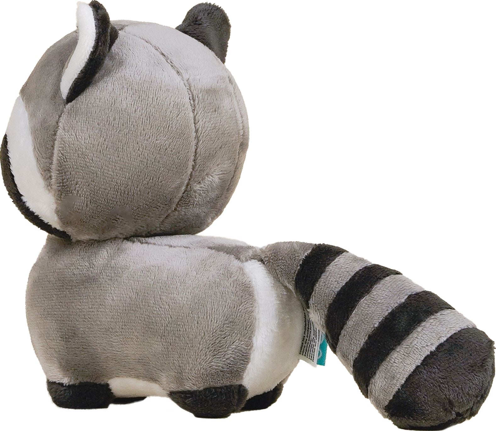 Mini Racconni the Raccon | Paper Source