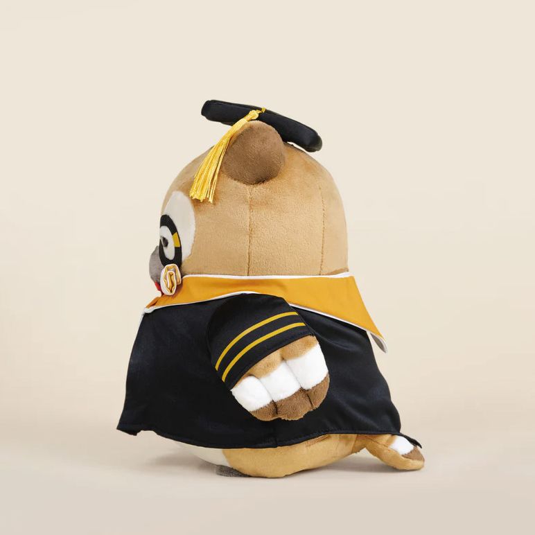 Graduation Owli | Paper Source