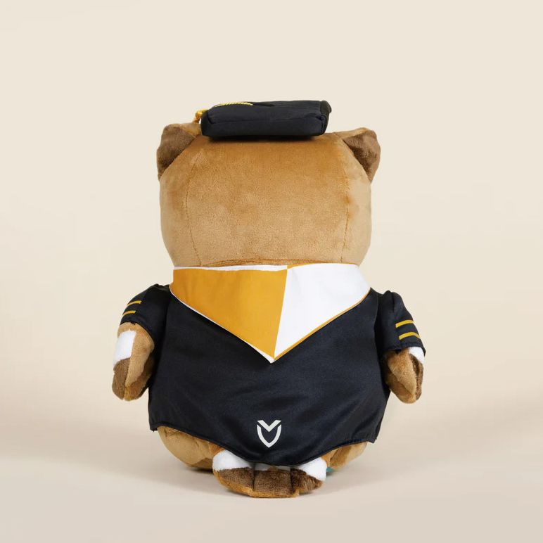 Graduation Owli | Paper Source